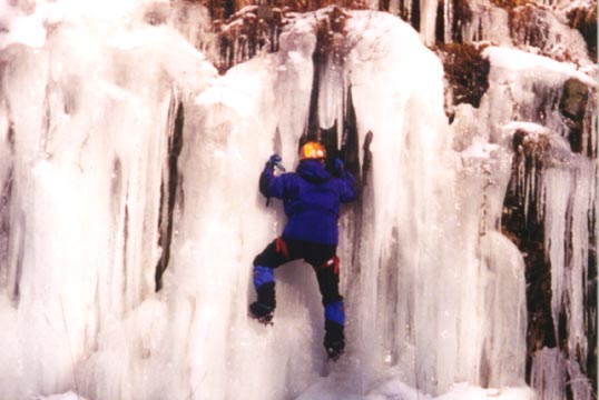 yakpak11.jpg - 65645 Bytes