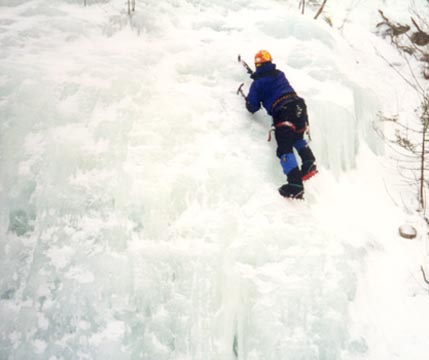 yakpak6.jpg - 59427 Bytes