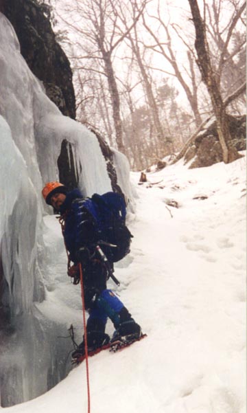 yakpak9.jpg - 66833 Bytes